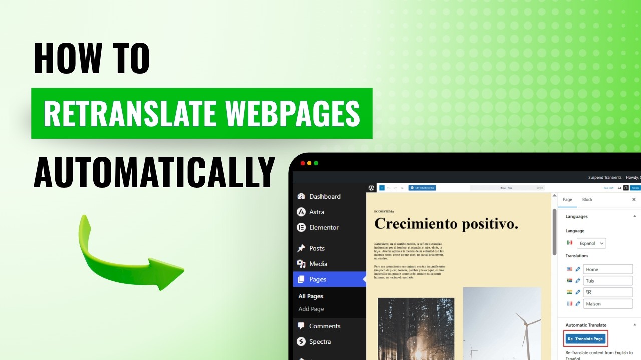Polylang | Retranslate your Entire Website Automatically