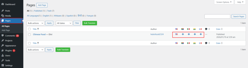 choose language divi